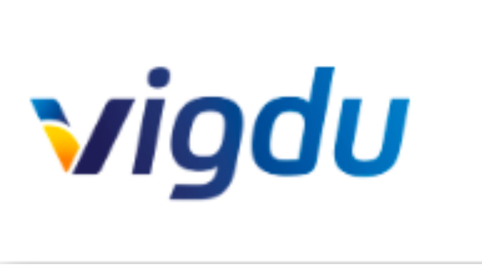 Vigdu，提升光伏效率的解決方案