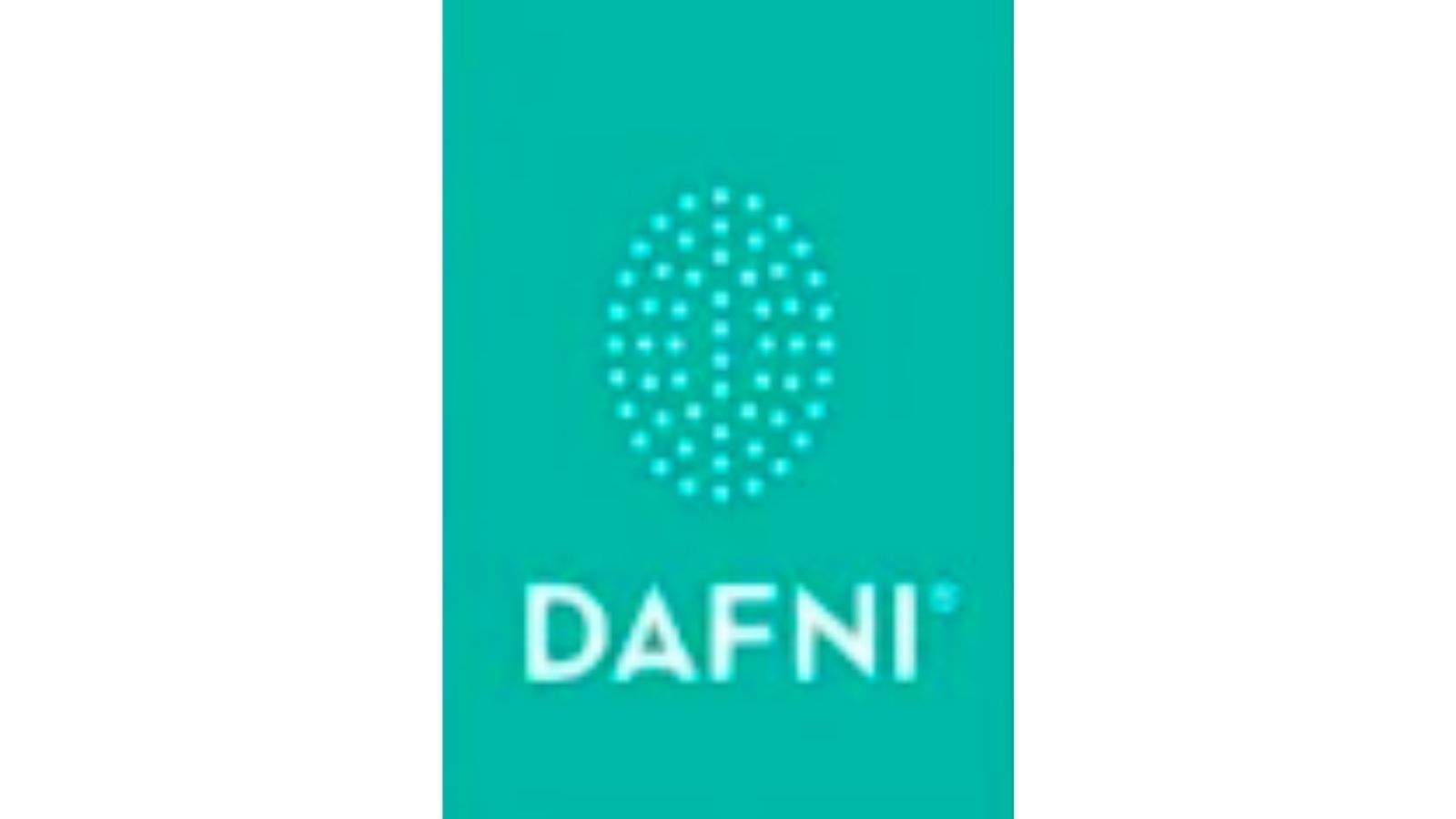 DAFNI，世界第一款直發(fā)梳