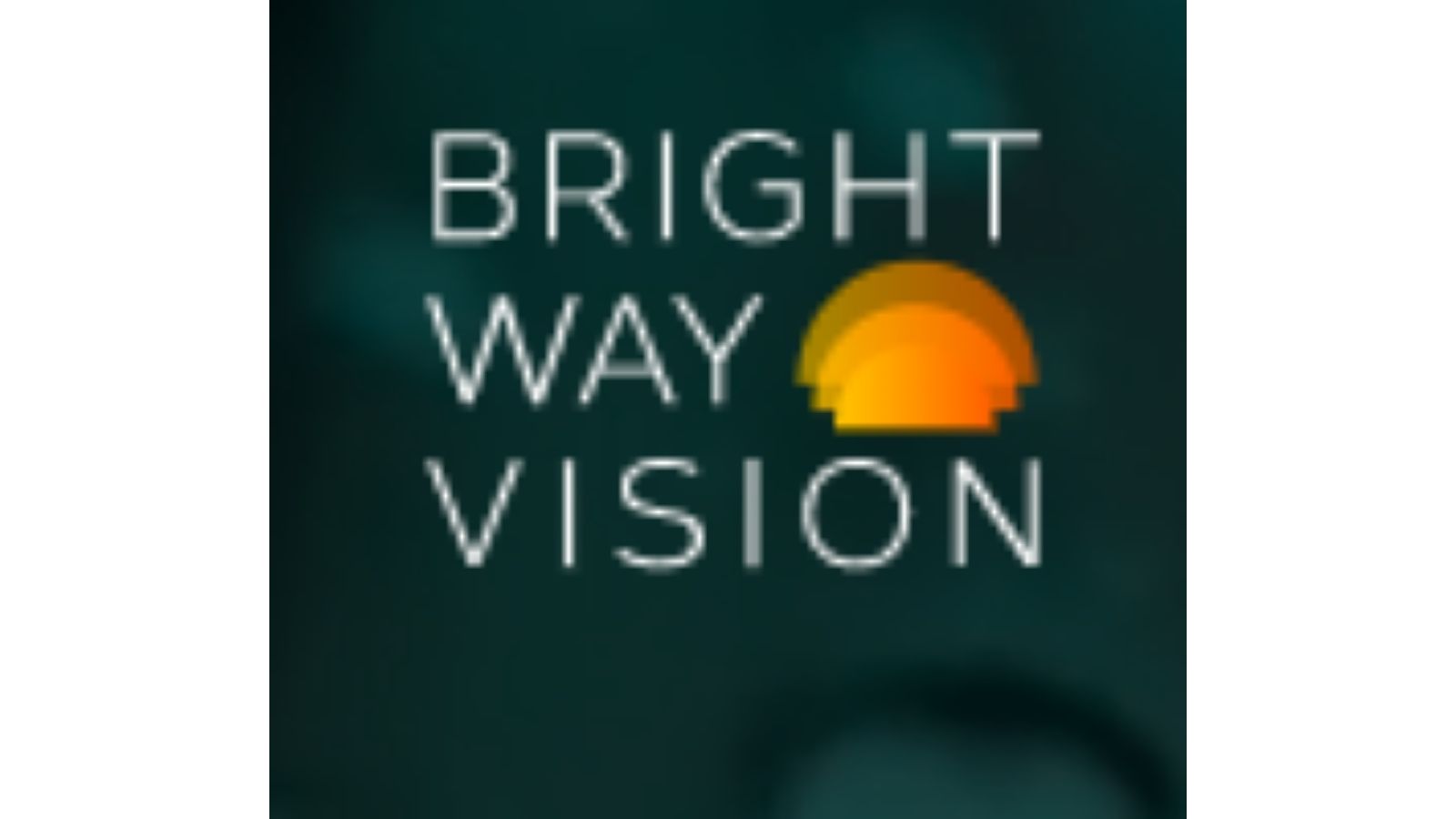 Bright Way Vision,一家以色列智能汽車(chē)解決方案的提供商