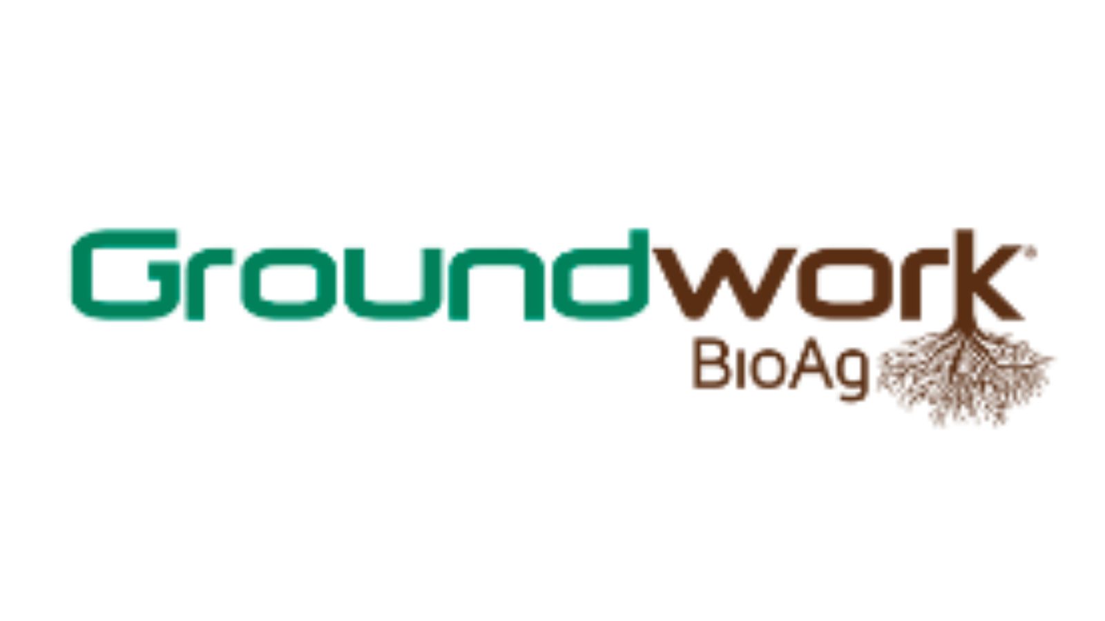 Groundwork BioAg?團隊,創(chuàng)新地生產(chǎn)出高效的菌根接種劑